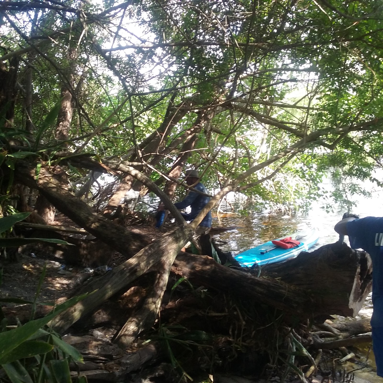 Harbor's Edge Park » Park in Pompano Beach FL