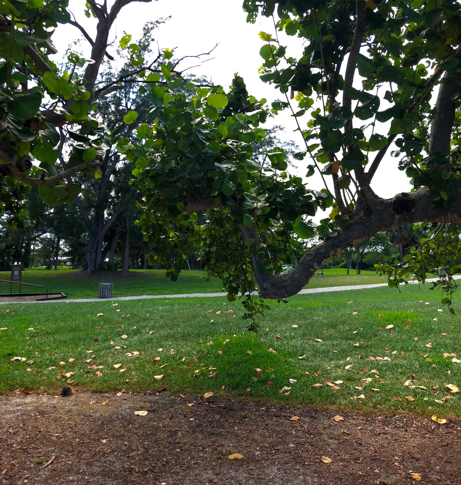 Harbor's Edge Park » Park in Pompano Beach FL