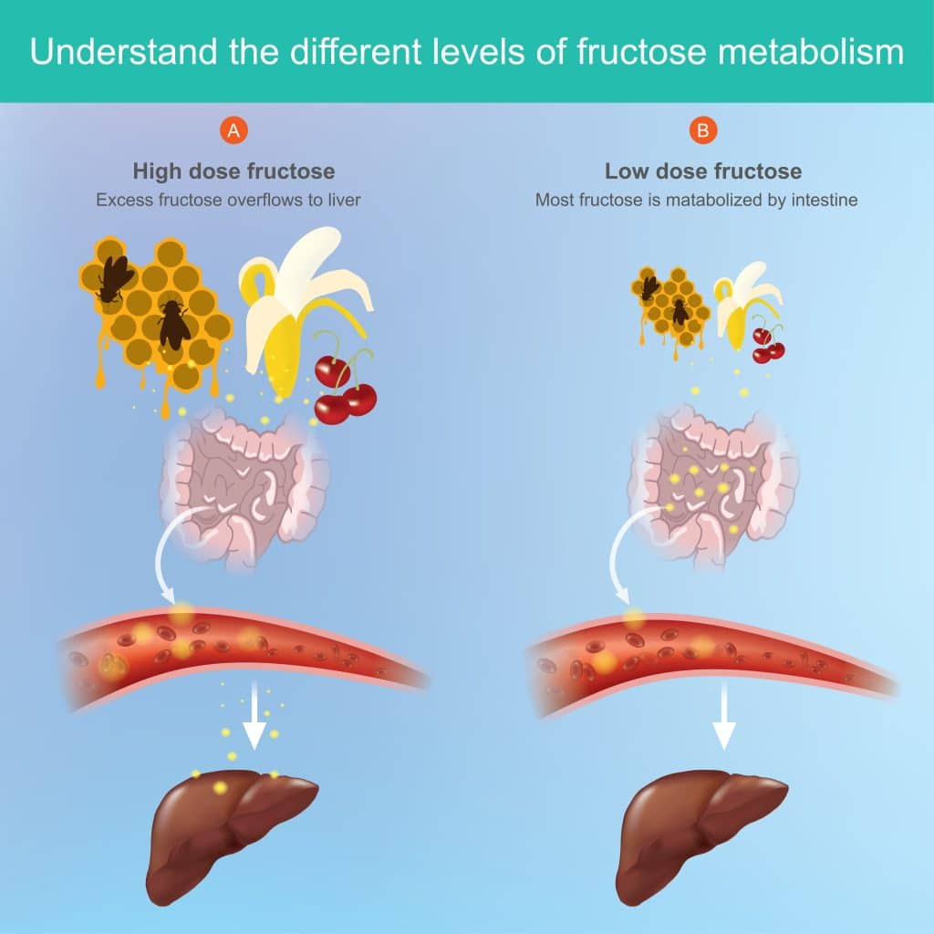 What Causes Fatty Liver Disease Pompa Program