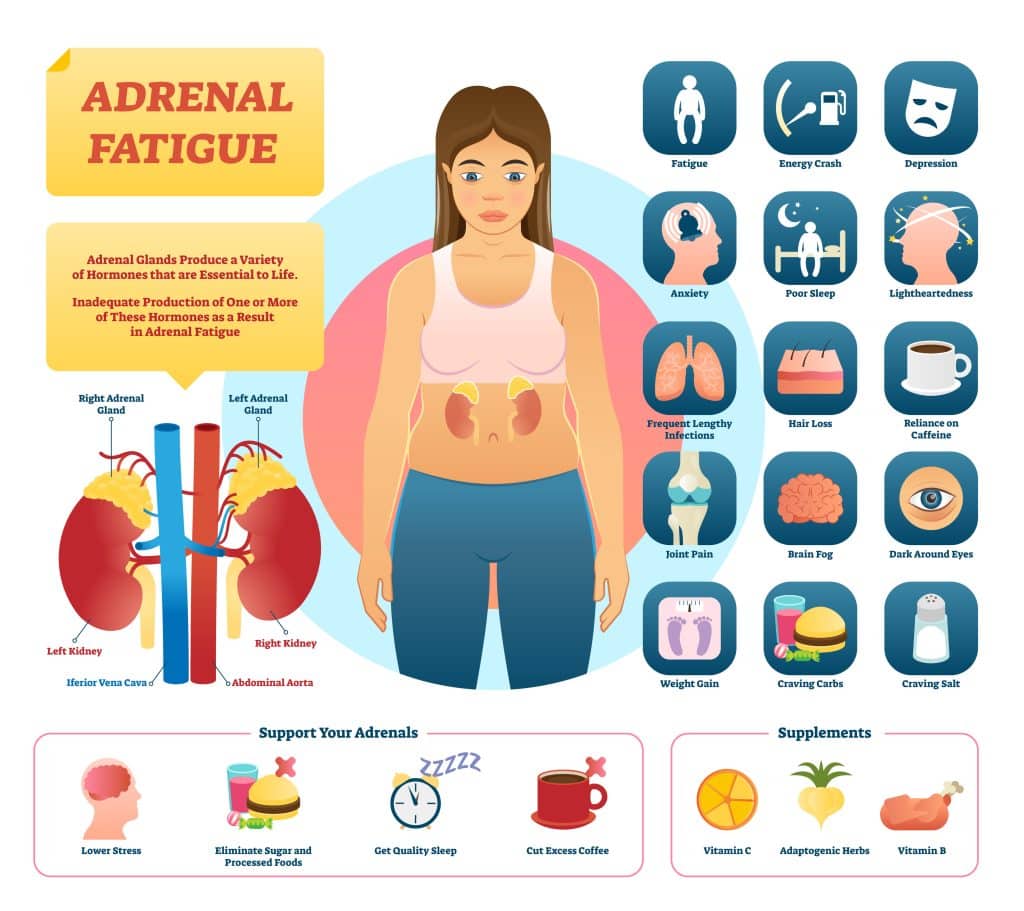 What Causes Adrenal Fatigue Pompa Program Masterclass