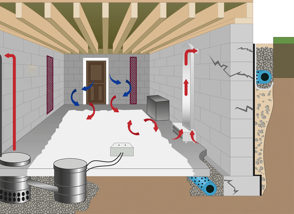 Ultimate Guide Protect Your Property from Mould and Moisture Blog