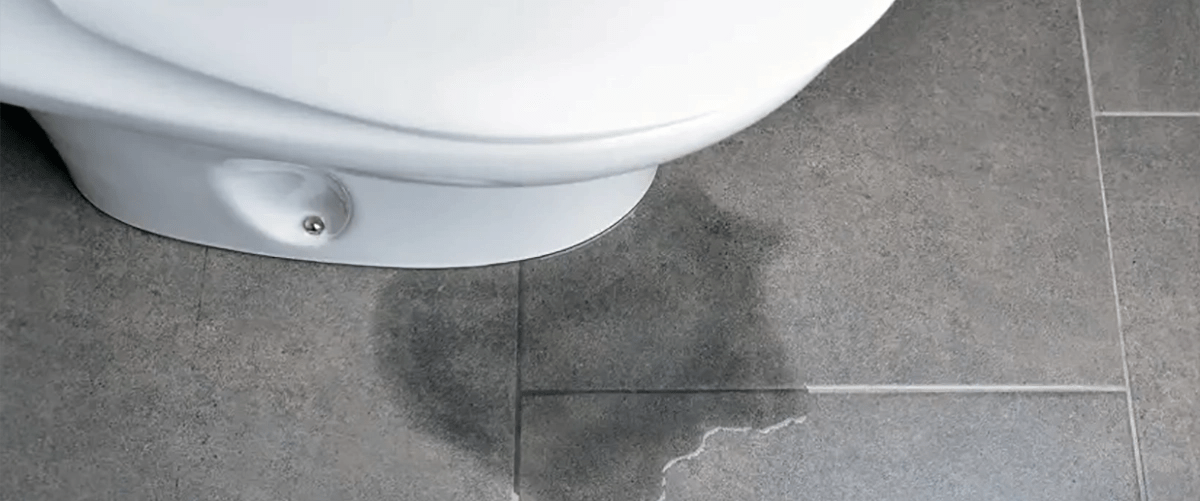 Toilet Leaking at Base? Discover the Top 4 Causes Blog POM Plumbing