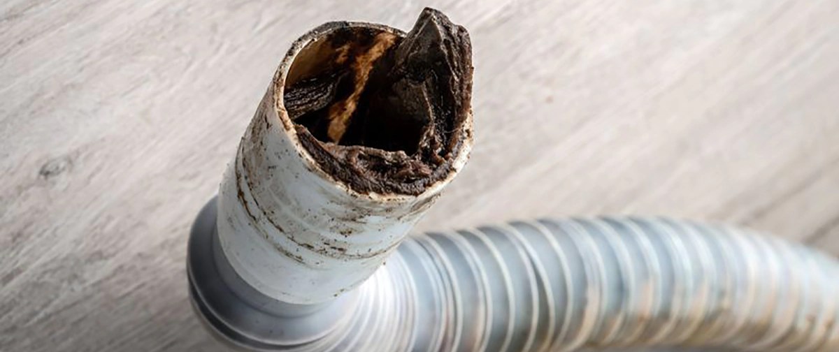 Tips for Keeping Your Drains Clear Throughout the Year Blog POM Plumbing