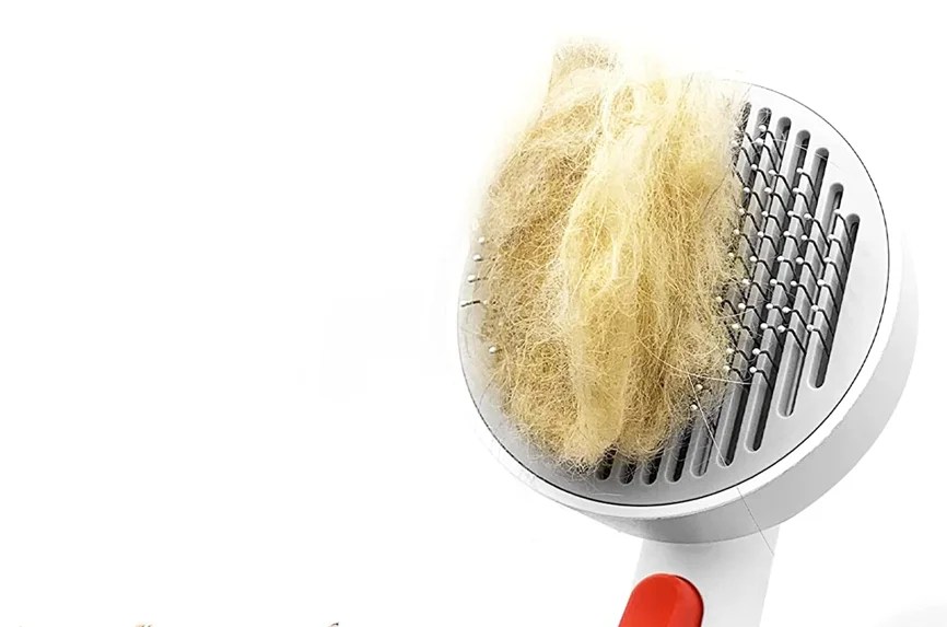 12 Best Brushes for Grooming Pomeranians PomsCare