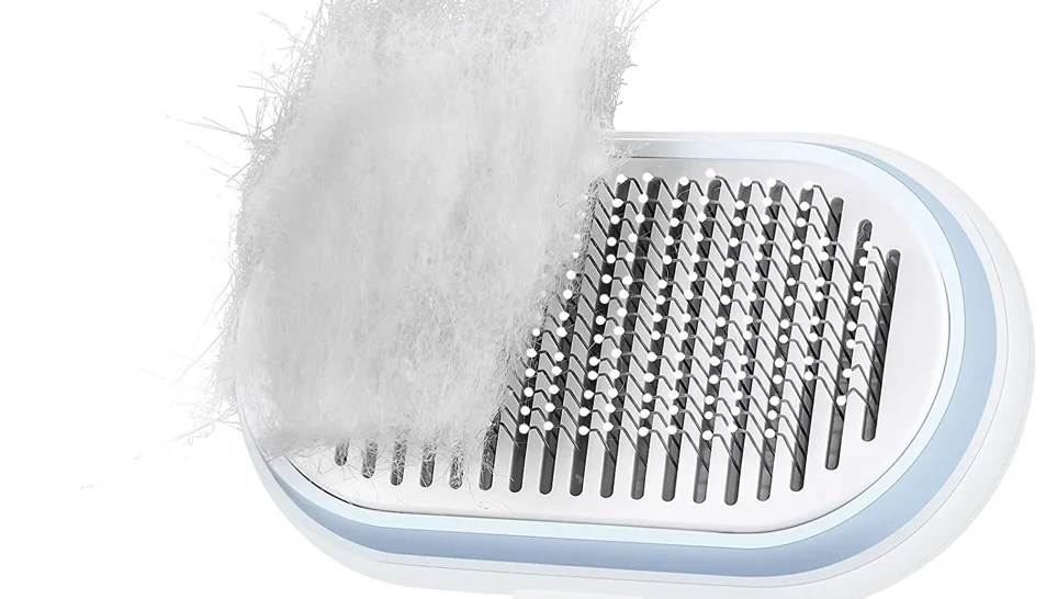 12 Best Brushes for Grooming Pomeranians PomsCare