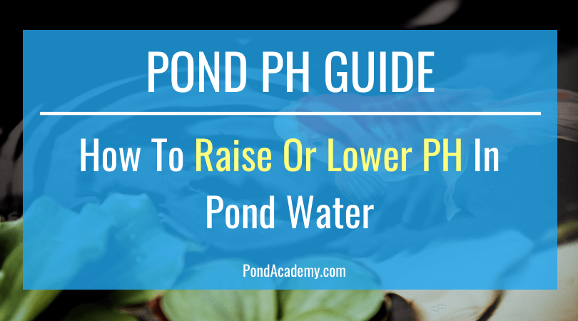 How To Raise Or Lower pH In Pond Water (Pond pH Guide)