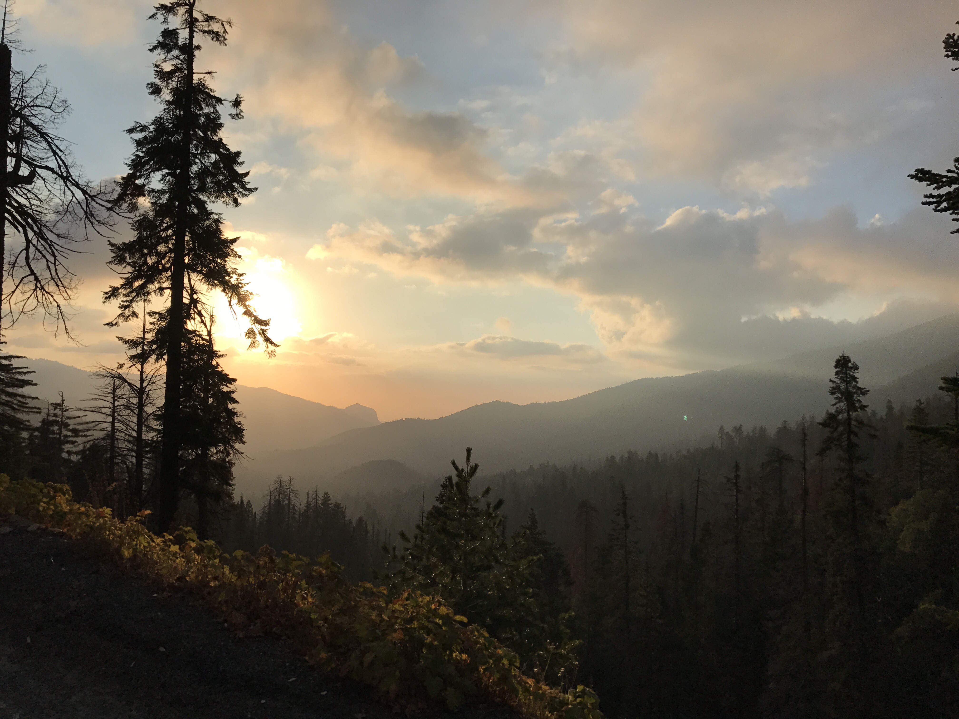 Weather Ponderosa, Ca