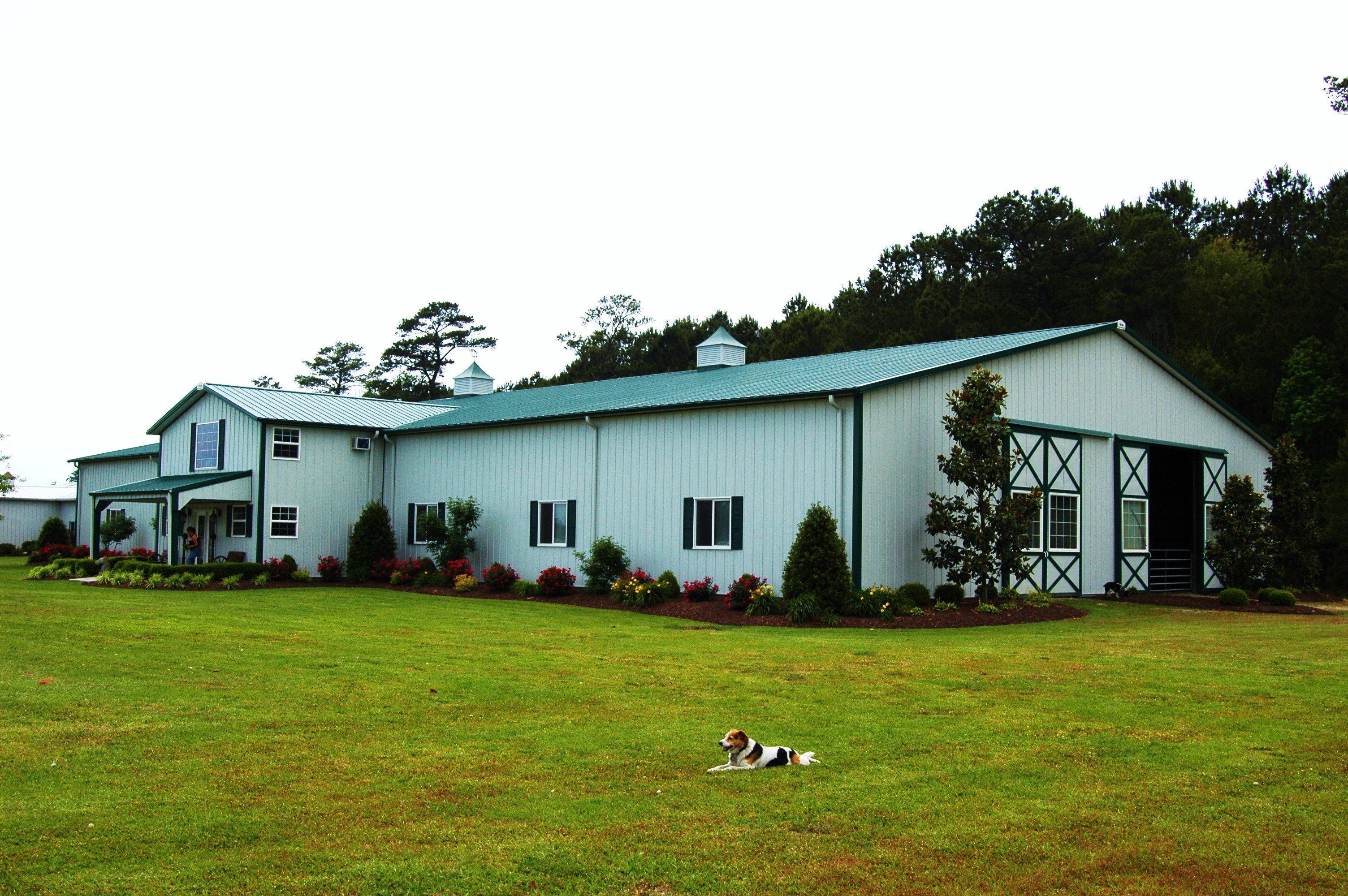 016e Ponderosa Pet Ranch