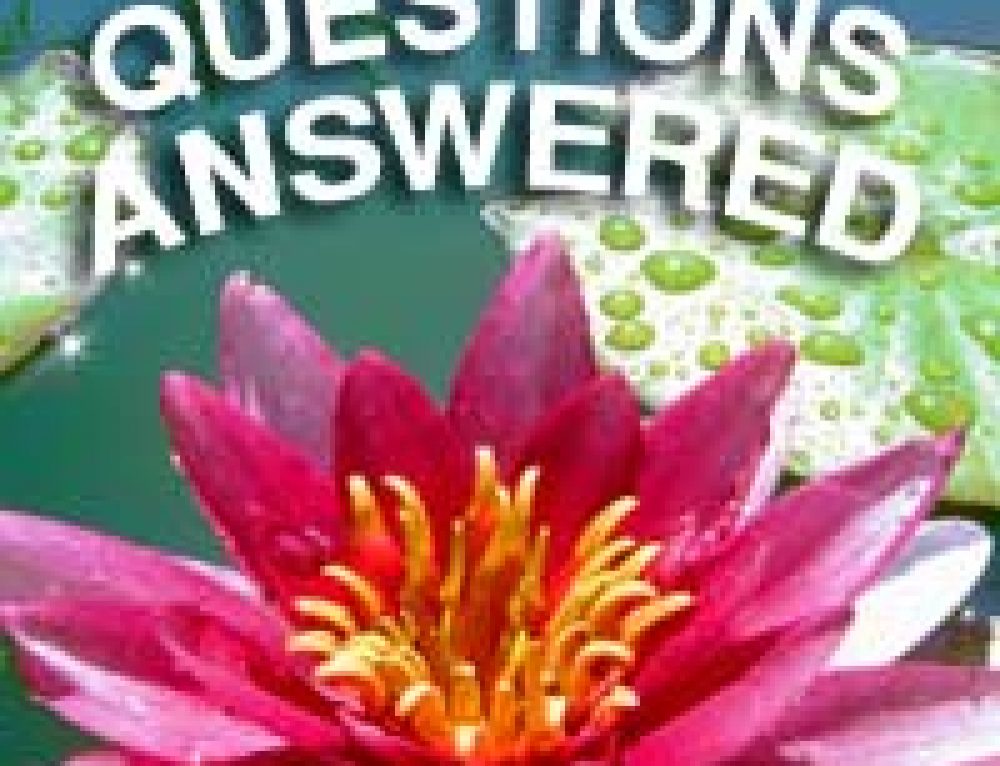 Fast Facts About Ponds Pond Expert