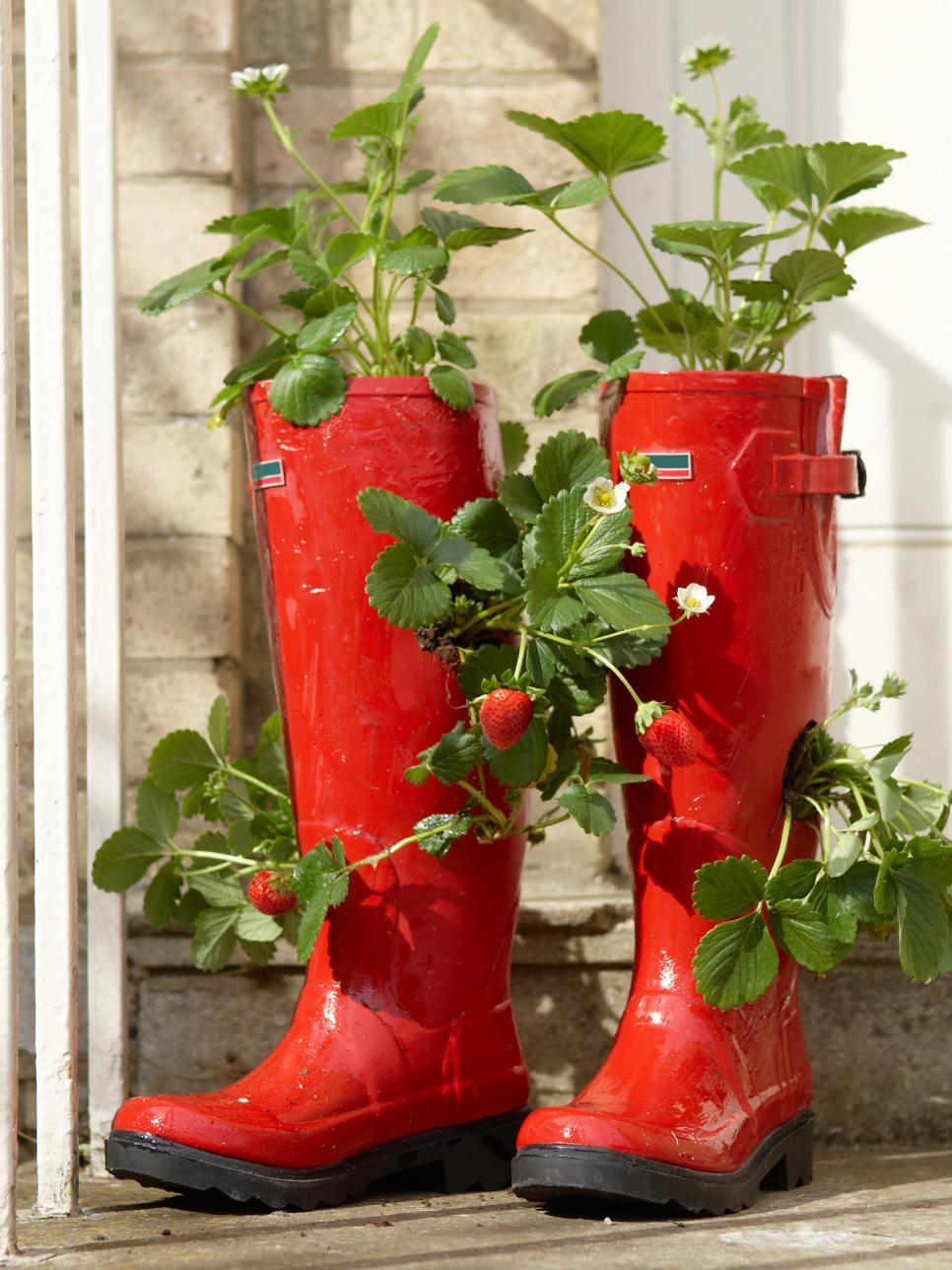 How To Make Super Cute Rain Boot Planters Pondic