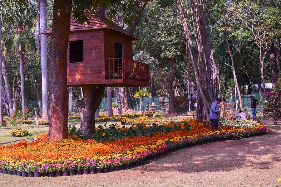 Botanical Garden in Pondicherry Timings, Ticket Price, etc