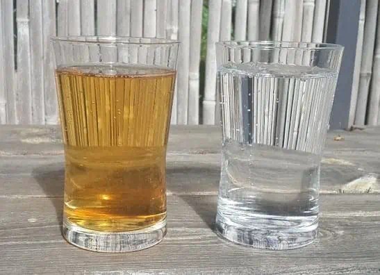 How to Remove Tannins in Pond Water (Fixes & Prevention) Pond Informer