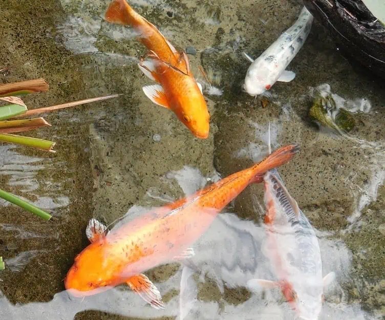 Sporting Goods Fishing Anglers' Equipment Fishing Nets 1Pc Round Small