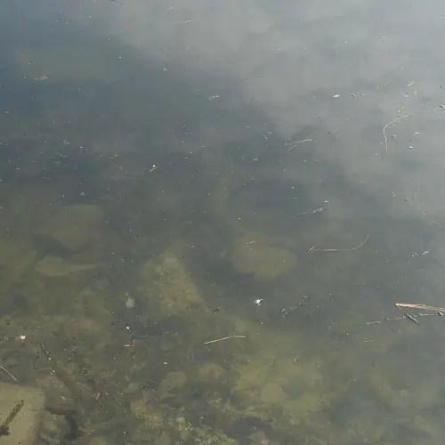 6 Ways to Keep A Pond Pump From Clogging Up Pond Informer