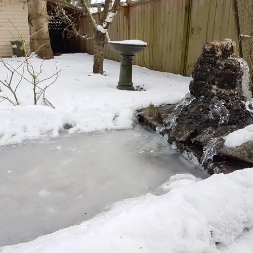 6 Ways to Keep A Pond Pump From Clogging Up Pond Informer