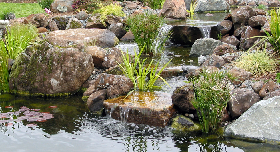 Pond Magic Ponds, Waterfalls, Water Gardens, Landscaping, Santa Cruz