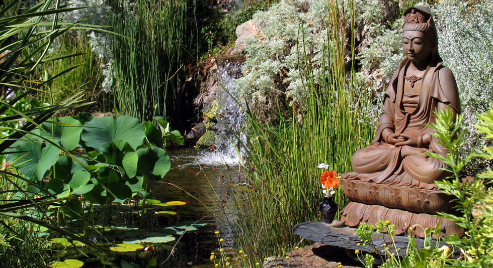 Pond Magic Ponds, Waterfalls, Water Gardens, Landscaping, Santa Cruz