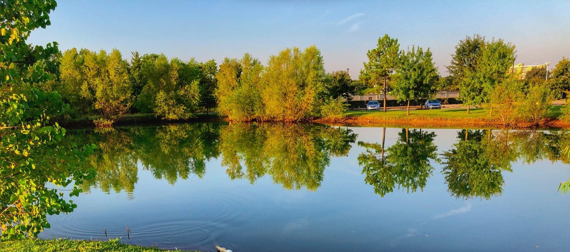 Selecting The Best When Stocking A Pond With Fish PondMedics