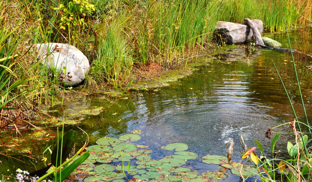What Is the Cost of Dredging a Pond? PondMedics