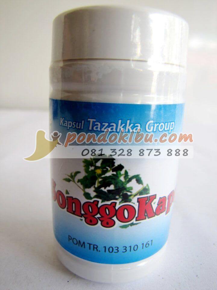 Obat Herbal Ekstrak Songgolangit Untuk Asam Urat Dan Rematik
