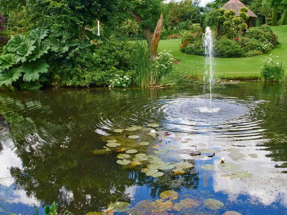 Green Pond Water 6 of the best ways to a clearer pond.