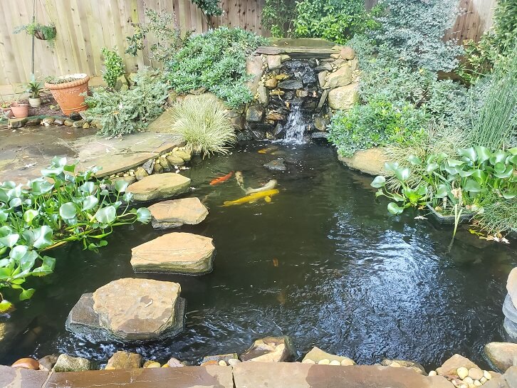 Gallery Pond Services done by Jack