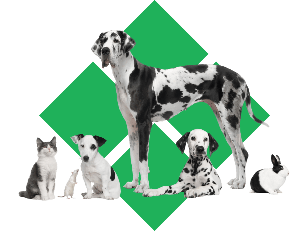 Archbold, OH 43502 Veterinary Services Pondview Veterinary Clinic