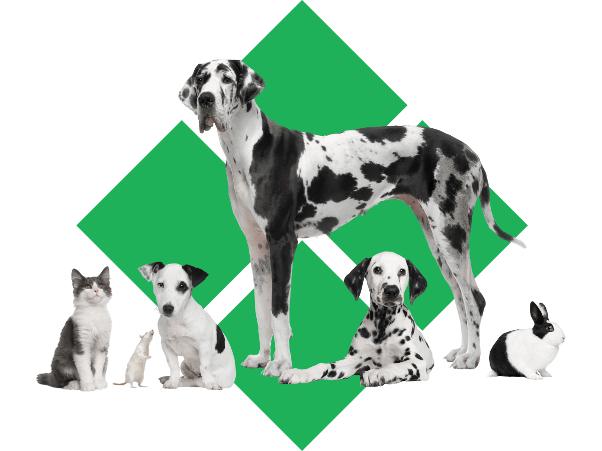 Archbold, OH 43502 Veterinary Services Pondview Veterinary Clinic