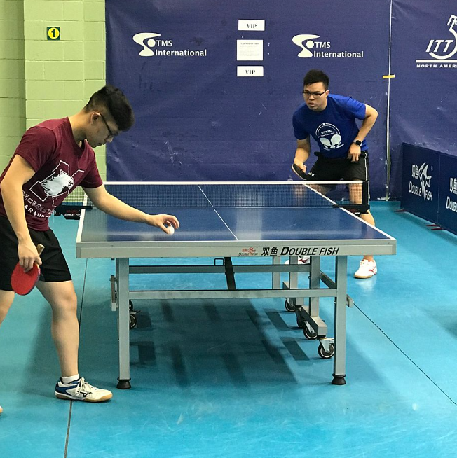 University of Toronto Table Tennis Pongspace