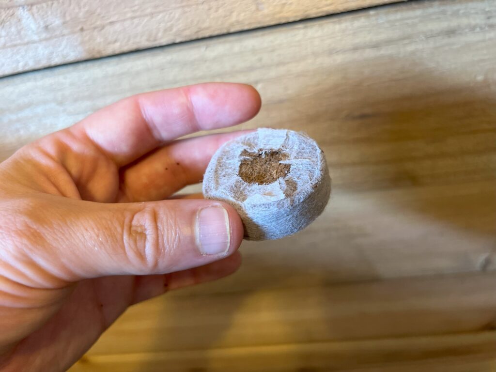 Wood Skewers and Coco Pellets The Ultimate Hydroponics Duo