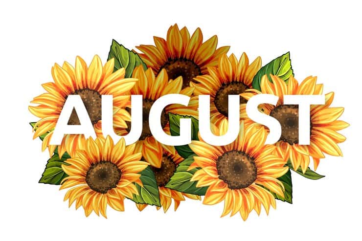 August 2025 Holidays and Observances to Add to Your Calendar