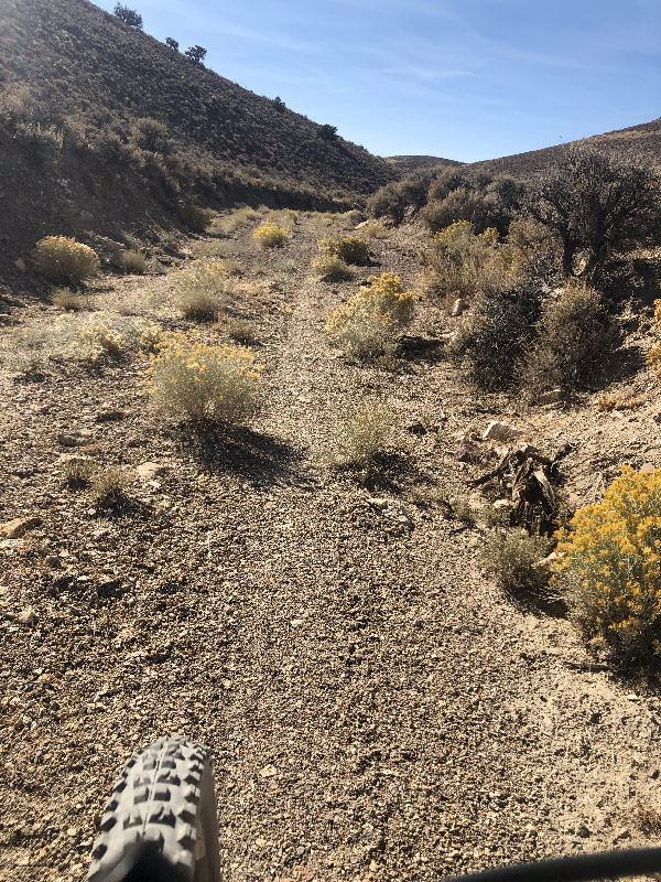 Scouting Smith Creek Summit/Dry Wells Station Pony Express Ride