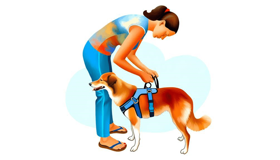 we cover every aspect of your dog life