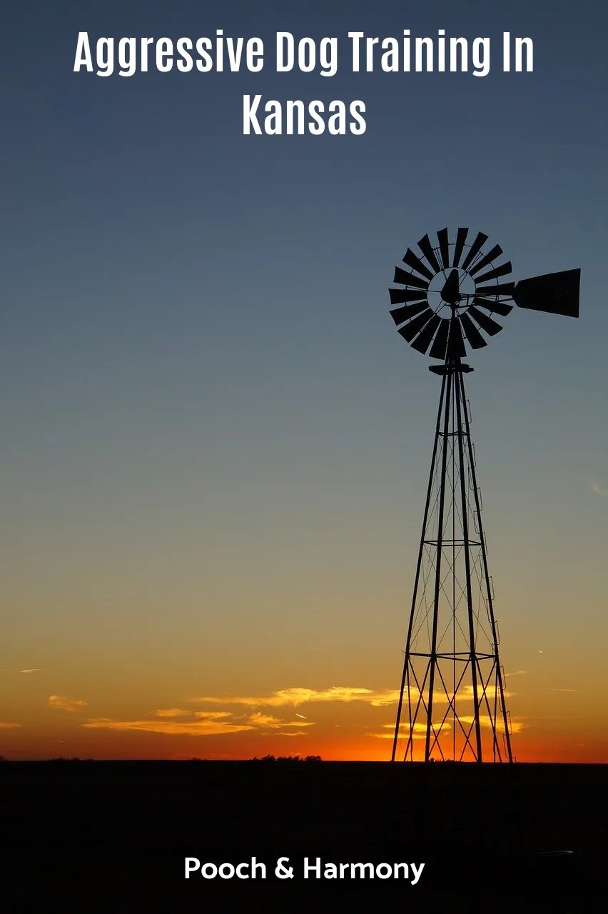 Aggressive Dog Training In Kansas Pooch & Harmony