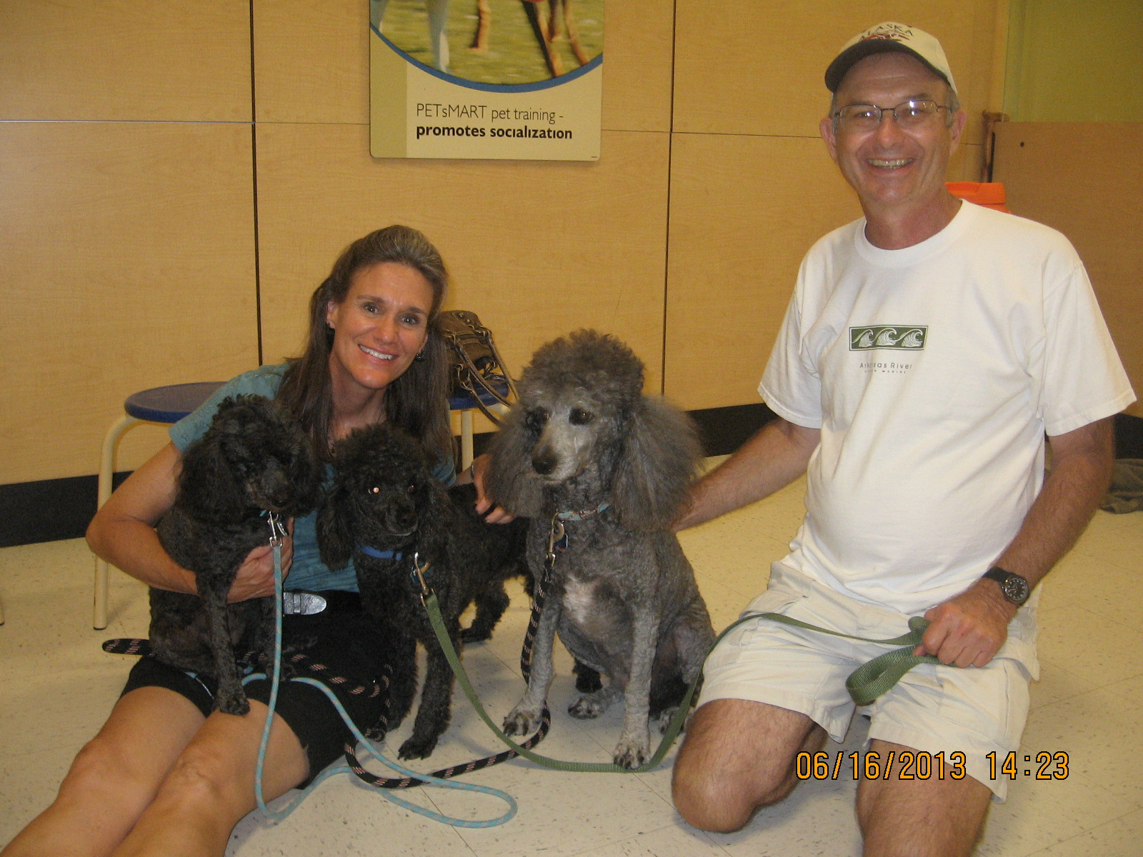 Happy Tails Poodle Patch Rescue Inc 501 (c) 3 non profit Texarkana, TX