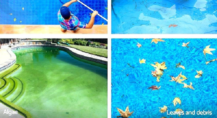 How to get algae out of pool without a vacuum PoolCleanerLab