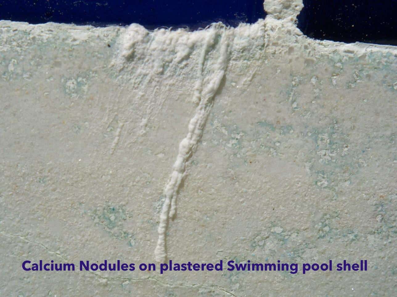 Calcium Nodules on a plastered Concrete Swimming Pool shell