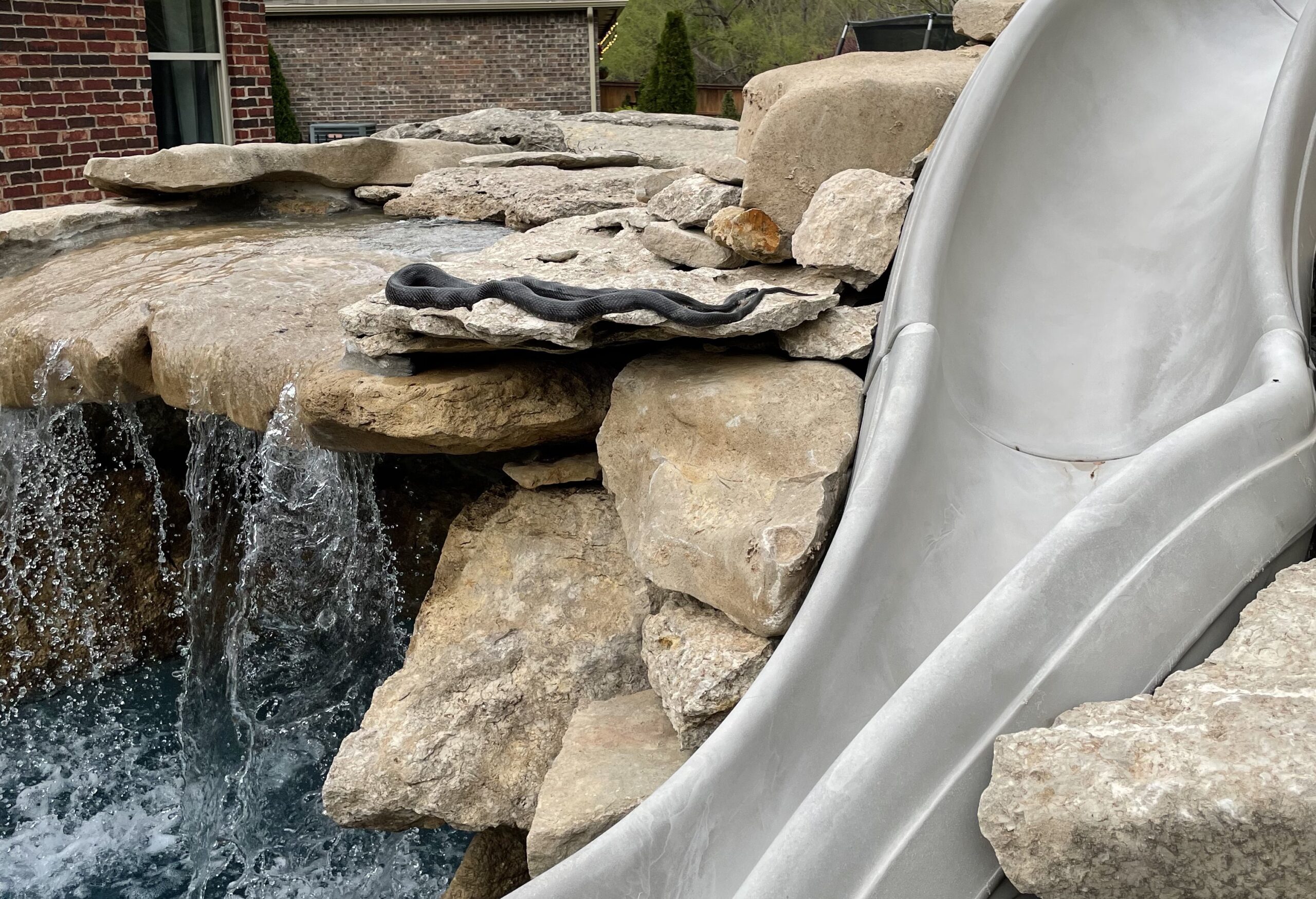 8 Effective Ways To Keep Snakes Out of Pool Pool Owners Academy