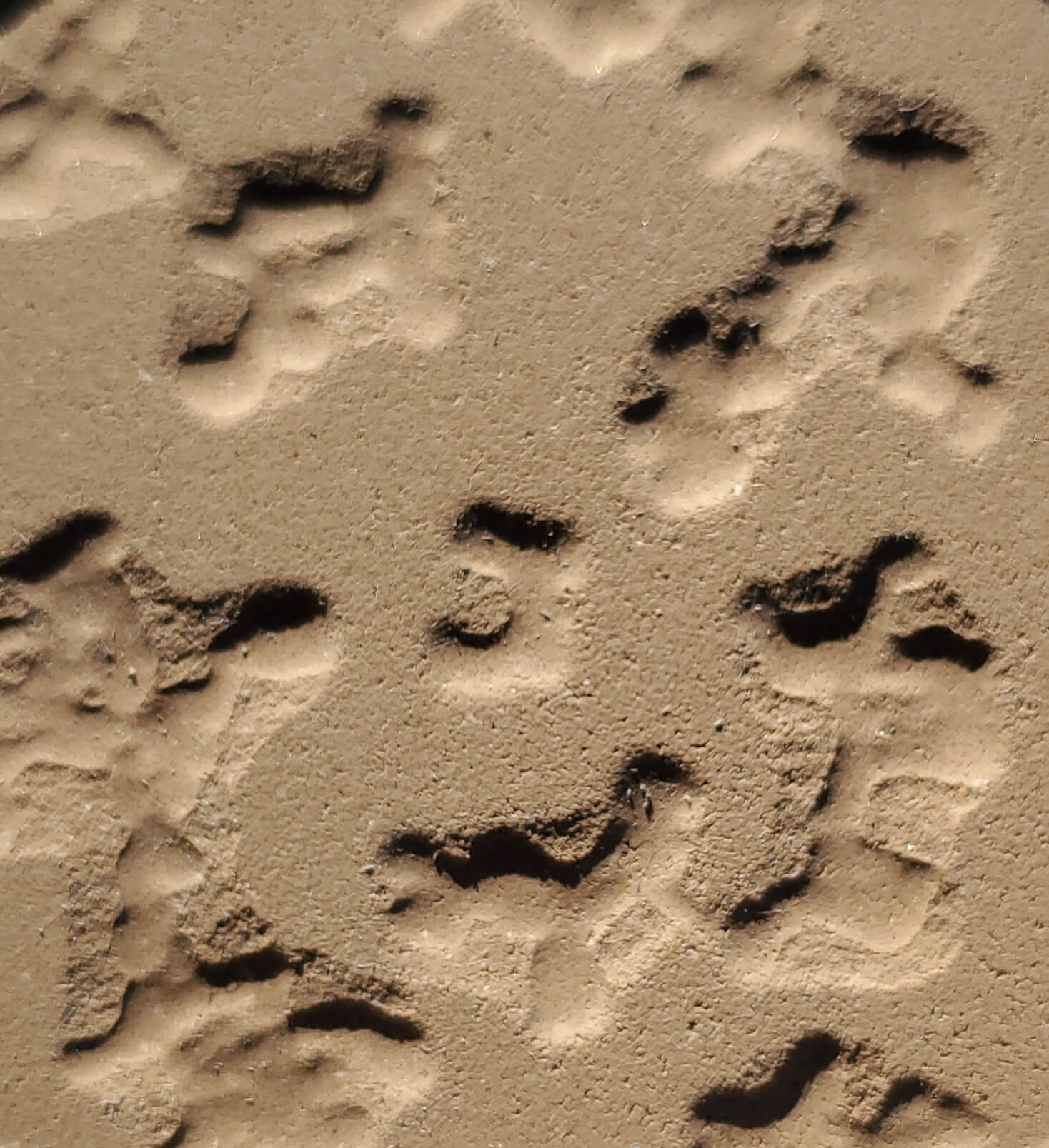 Pool Deck Patch Repair Kit DIY Swimming Pool Kool Deck Repair Kits