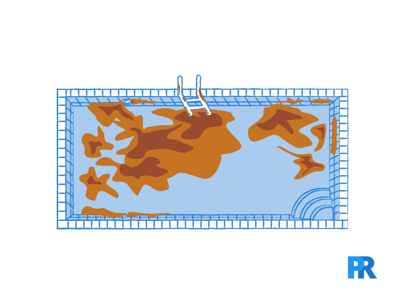 How to Remove Pool Stains (& Prevent Them) Pool Research