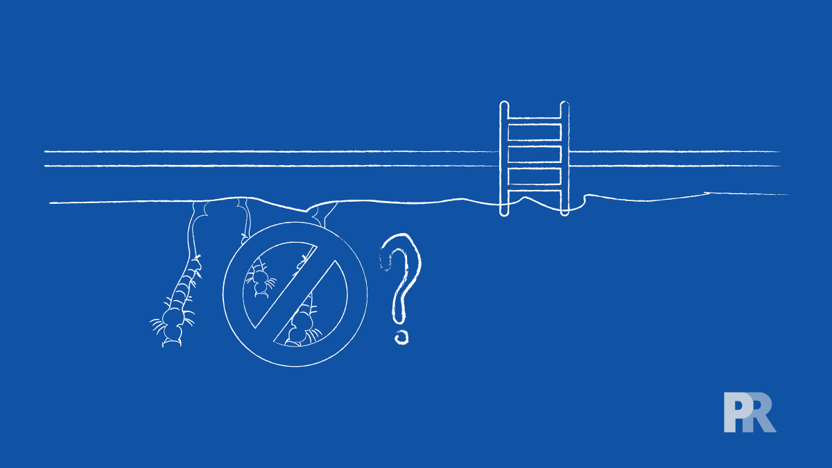 How to Get Rid of Mosquito Larvae in Your Pool Pool Research