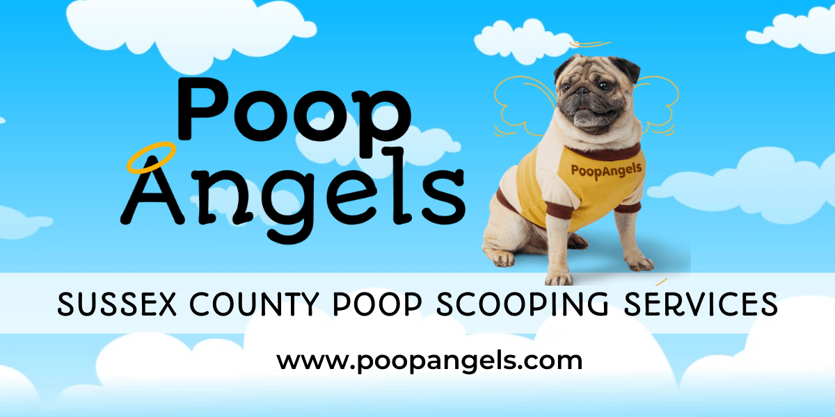 Sussex County Poop Scooping Services Poop Angels