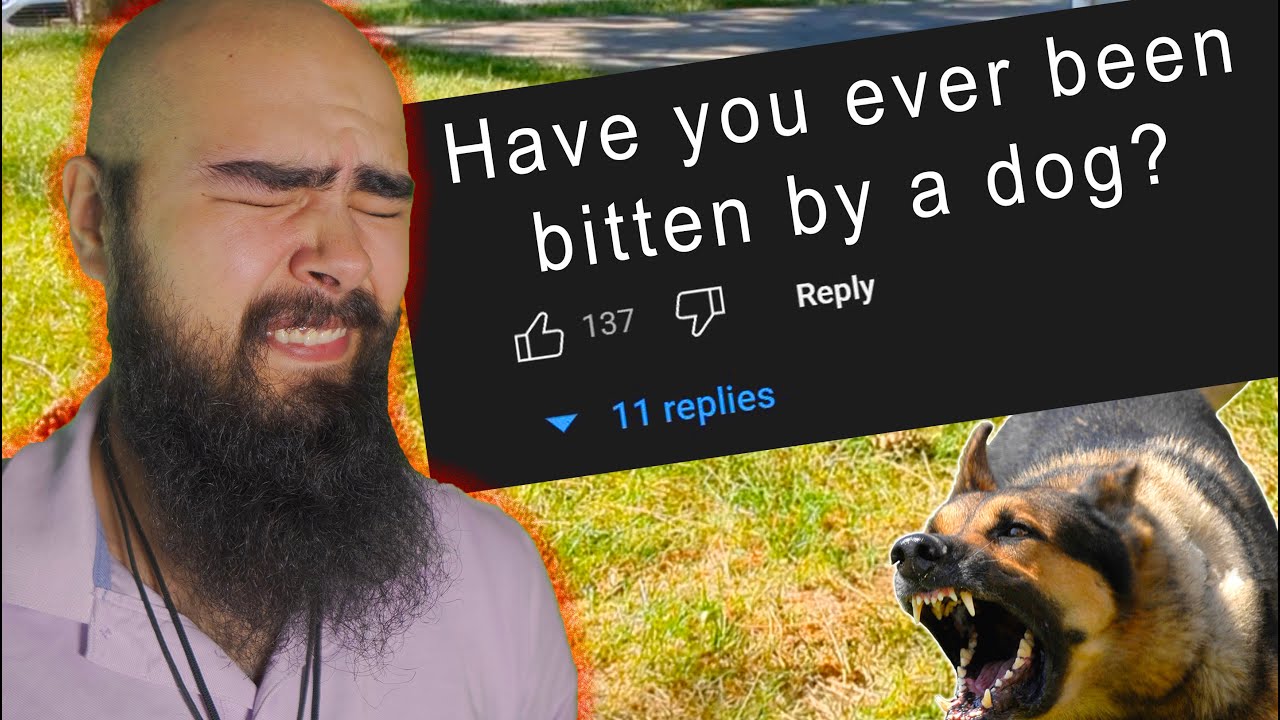 Blog Poop Scoops For Noobs