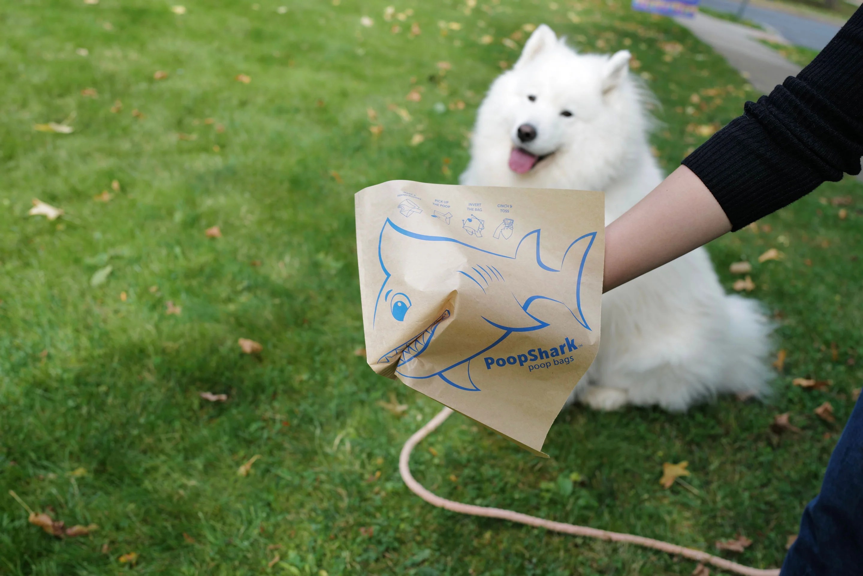 Introducing the PoopShark Paper Poop Bag