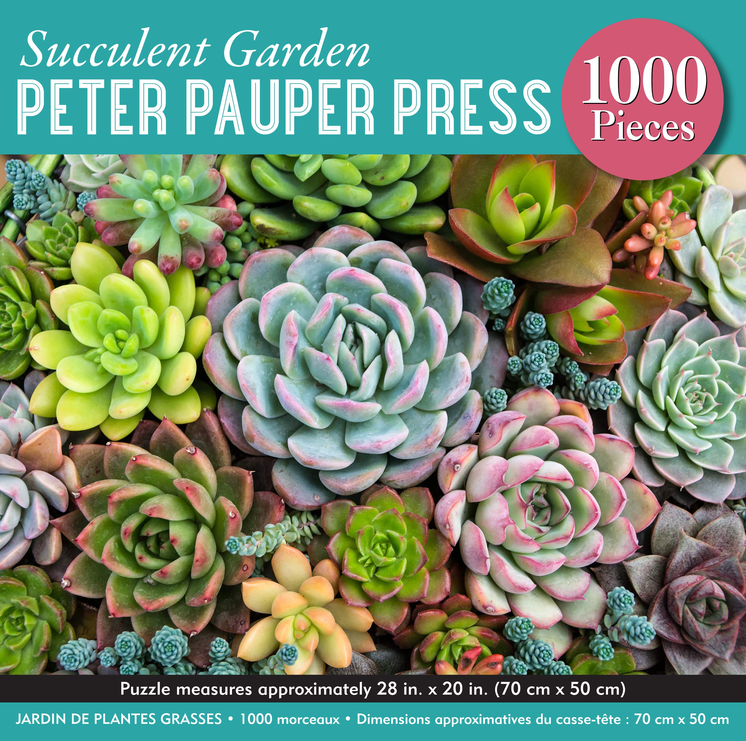 Succulent Garden 1000 piece Puzzle Poopsie's Gifts & Toys