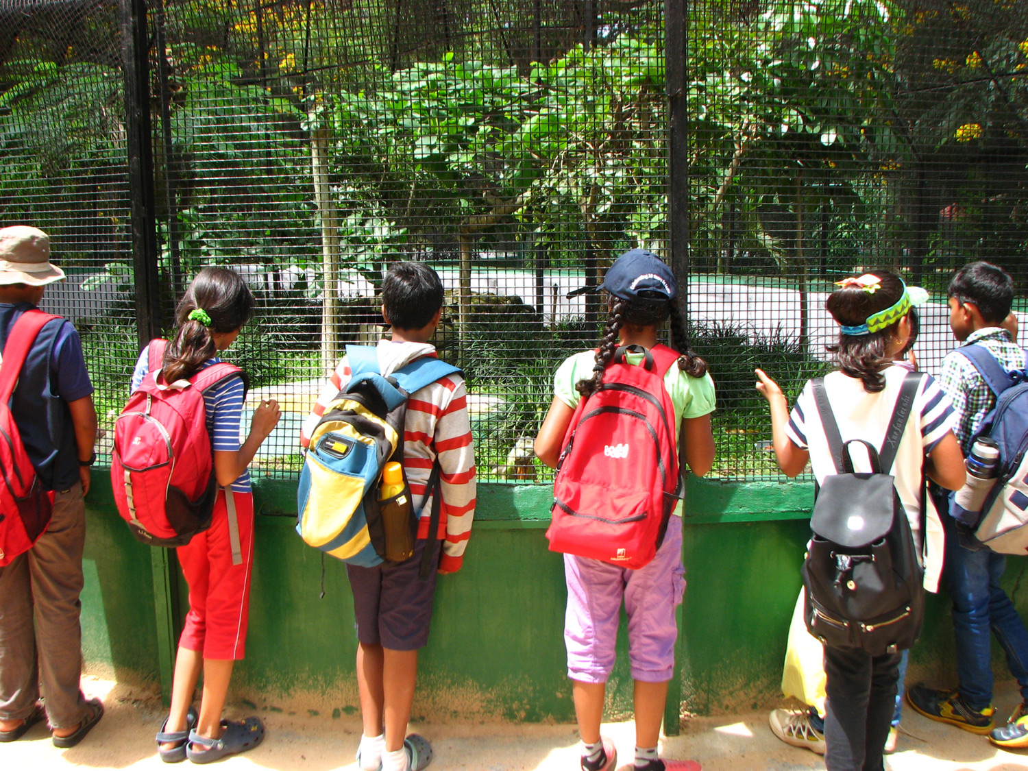 Field Trips & Class Excursions Poorna Learning Centre