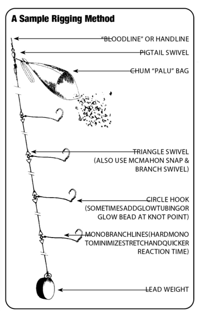 Bottomfishing POP Fishing and Marine