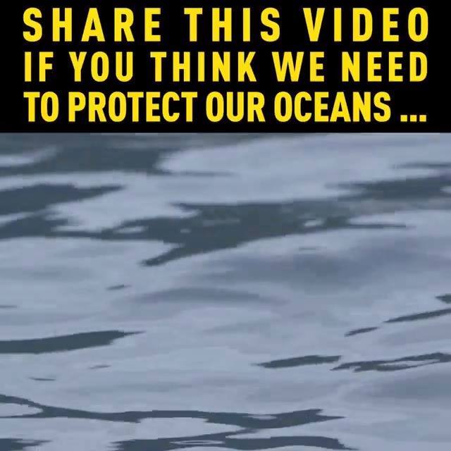 Assistir A The Oceans Are Running Out Of Oxygen, And