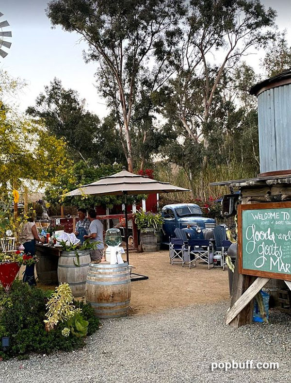 Goat yoga and more at Goods and Goats Market in San Juan Capistrano