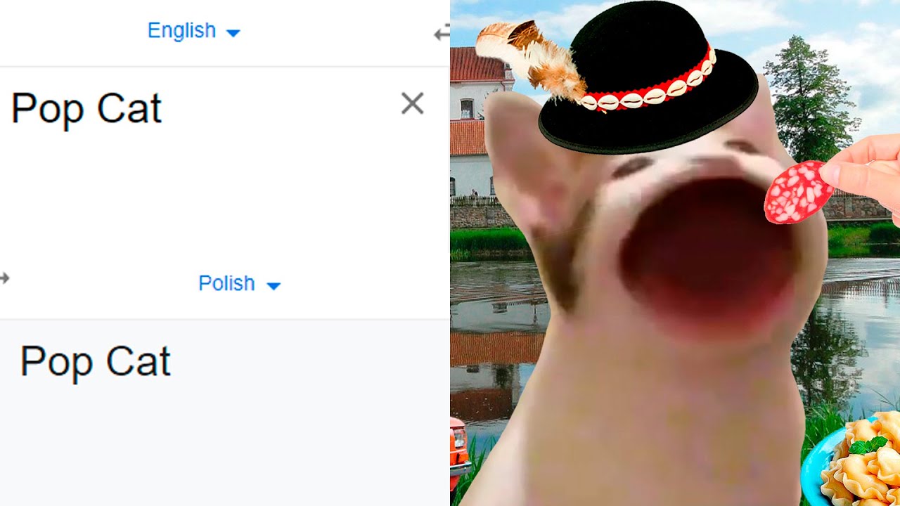 Pop Cat in different languages meme (Part 2) popcat.games